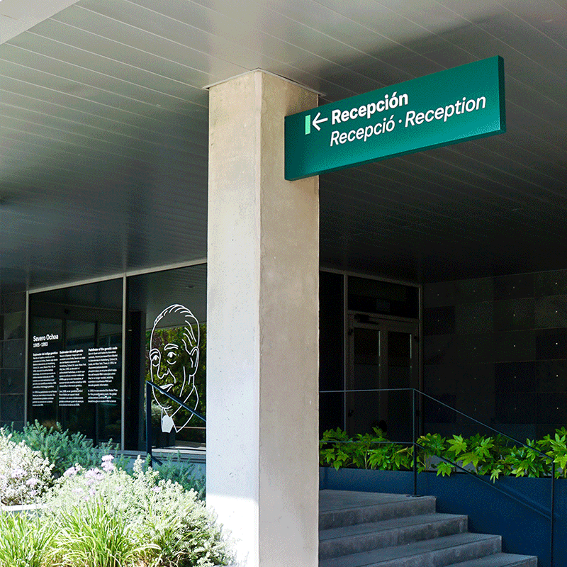 rrss_boehringer_4._WEB